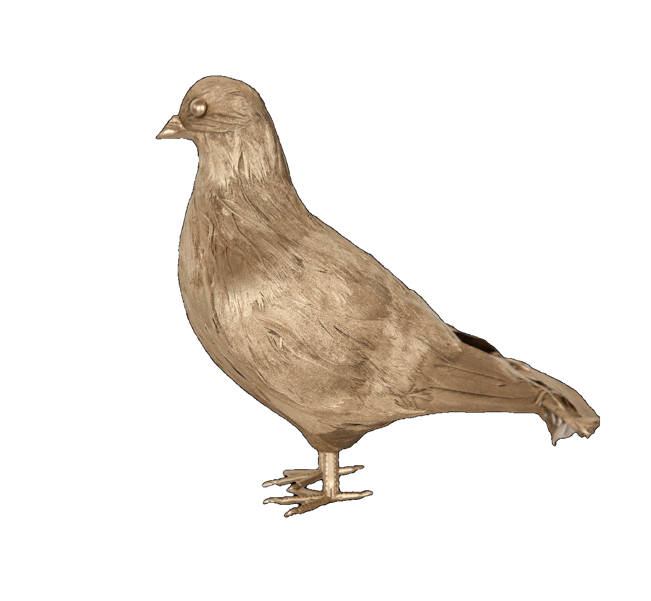 Golden Pidgeon